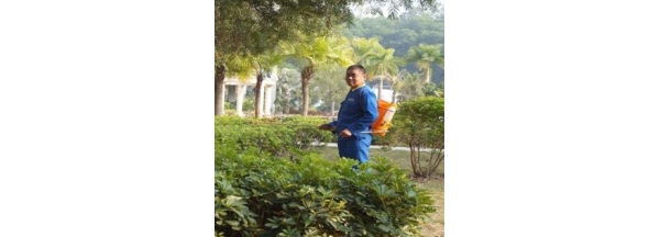 绿化杀虫