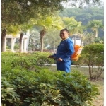 绿化杀虫